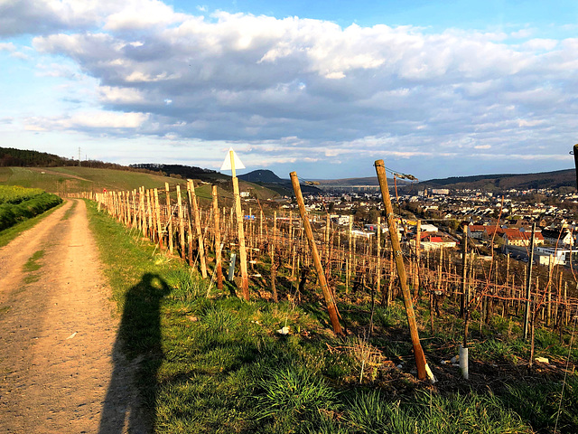 Spaziergang durch die Weinberge