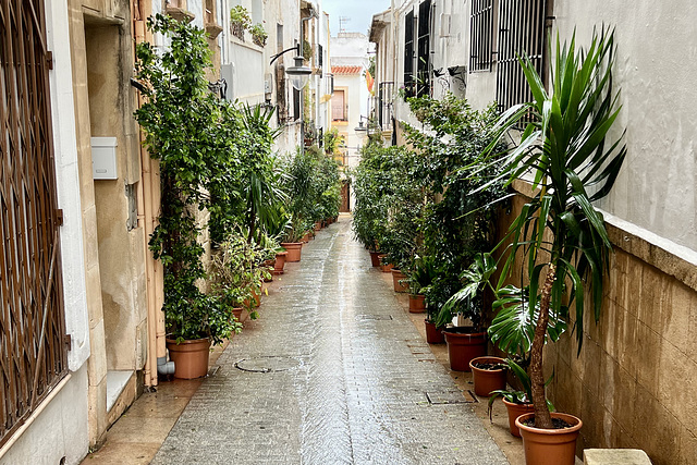 Xàbia 2022 – Street with plants