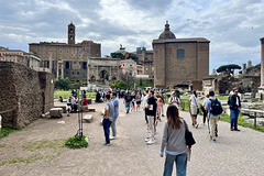 Rome 2025 – Forum Romanum