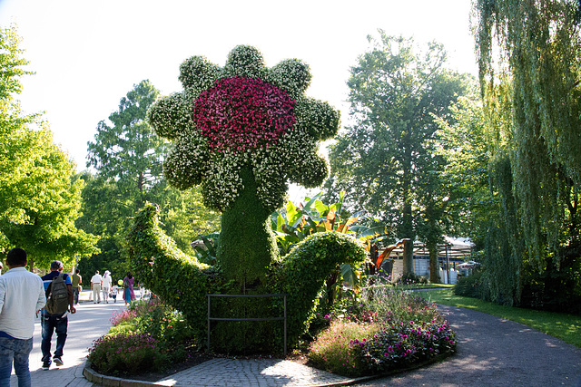 Eingang Insel Mainau