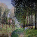 IMG 7091 Alfred Sisley. 1839-1899. Paris.   Le repos au bord du ruisseau, lisière de bois. Rest by the stream, on the edge of the wood  1878.     Paris Orsay.
