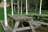 IMG 7012-001-Picnic Grove 2