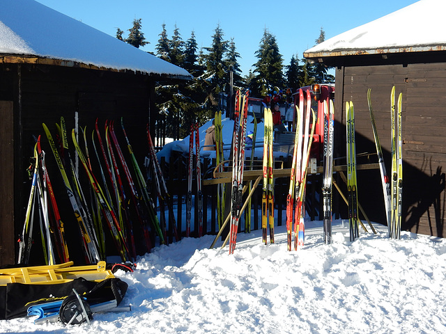 023 Alle jungenSkisportler sind im Ziel