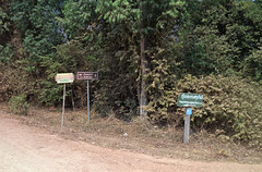 À 2 km de Buddha Cave (Laos)