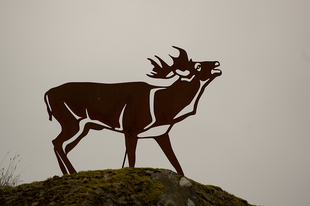 Deer Sculpture