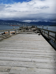 Der Zaun am  Jericho Beach in Vancouver