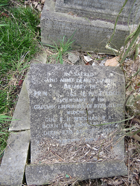 norwood cemetery, london