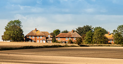 Houses Across the Fields