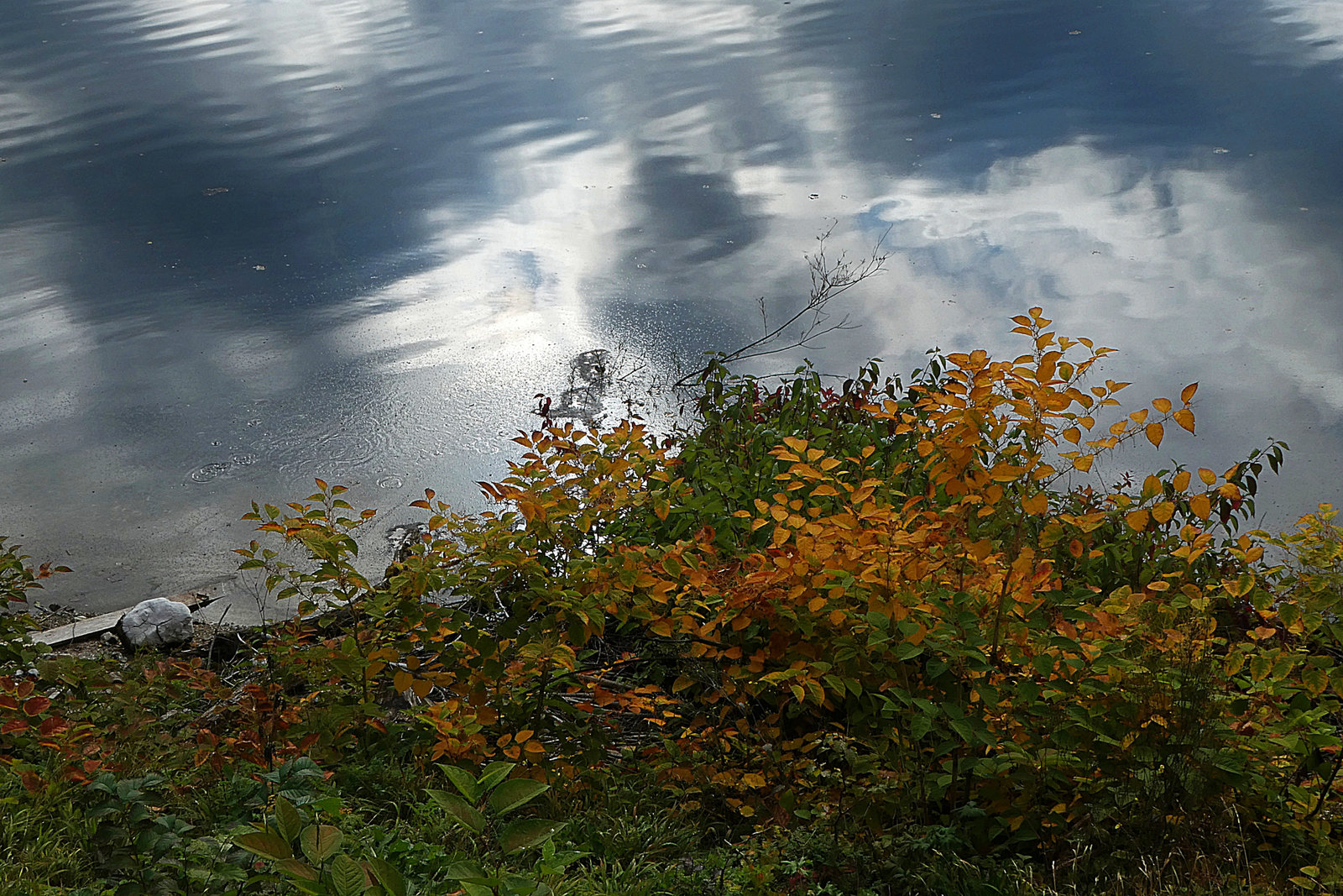 Herbst am See