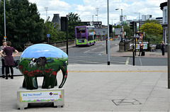 'Poppy' the elephant and Ipswich Buses 47 (YR61 RVA) - 21 Jun 2019 (P1020752)