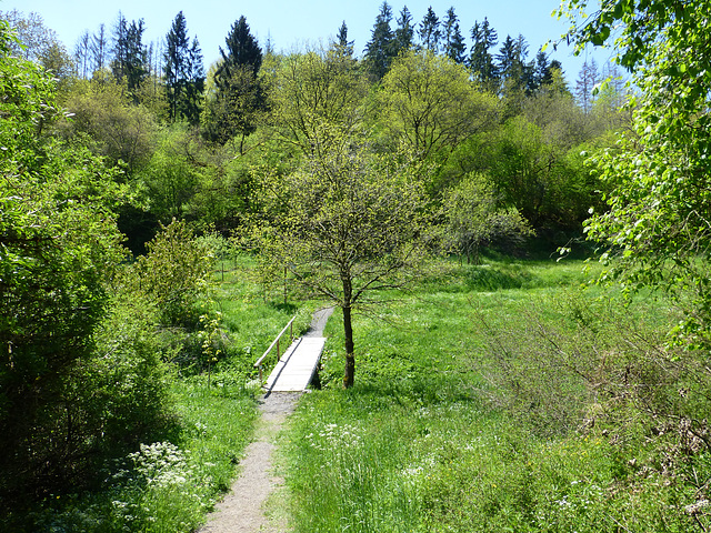 DE - Virneburg - Auf dem Traumpfad Virneburgweg