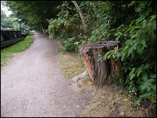 Jericho towpath