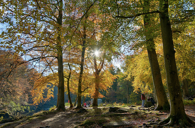 An autumn outing