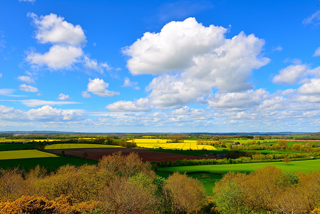 Shropshire fields