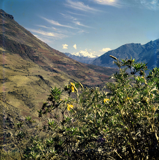 Landscape near Pisac