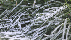 Givre