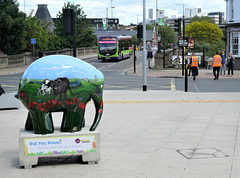 'Poppy' the elephant and Ipswich Buses 98 (YJ12 GWP) - 21 Jun 2019 (P1020755)