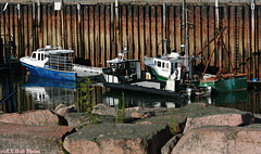 Berths 4, 5, and 6 -- Eastport Workboats