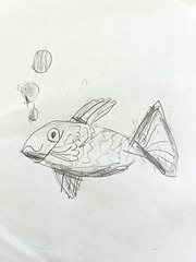 Emerson’s Fish