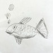 Emerson’s Fish