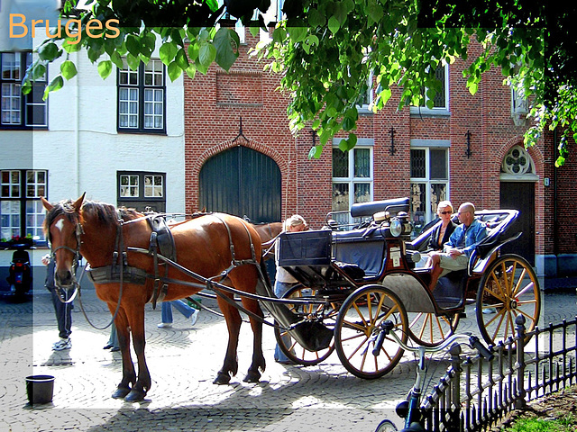 Horse tour with Bruges caption 2