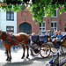 Horse tour with Bruges caption 2
