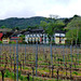 DE - Mayschoß - Blick zum Hotel Lochmühle