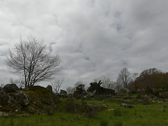 20240503 -05 Lavogne Blandas - Ruines Malpertus - Puech Sigal (33)
