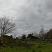 20240503 -05 Lavogne Blandas - Ruines Malpertus - Puech Sigal (33)