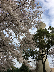 Water Tower