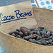 Dry Cacao beans (for making chocolate!), Brasso Seco, Trinidad