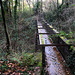 Aqueduct over the track