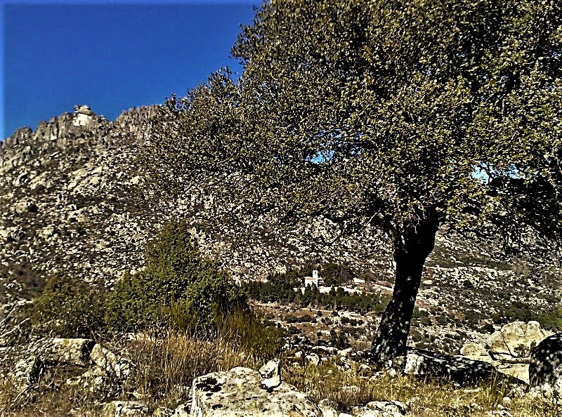 Monastery, oak and granite.