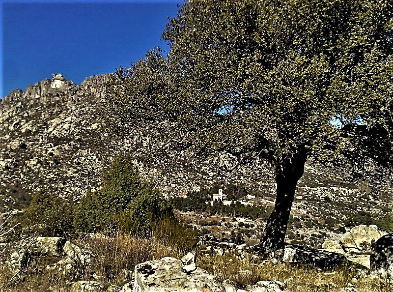 Monastery, oak and granite.