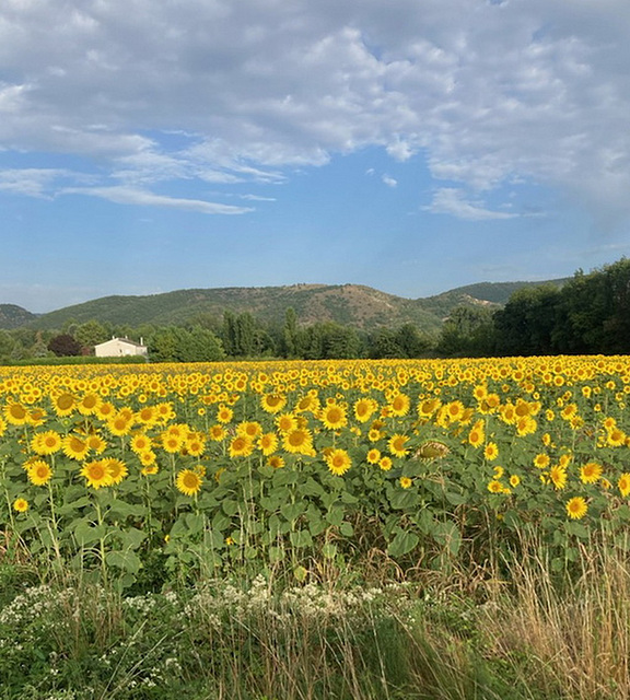 Près de chez moi (Drôme)*************