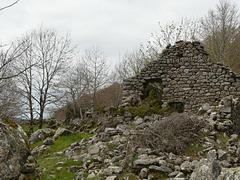 20240503 -05 Lavogne Blandas - Ruines Malpertus - Puech Sigal (35)