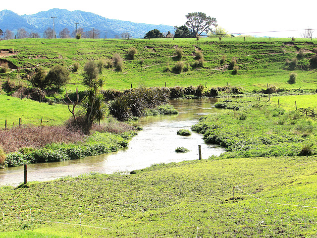 Rural Stream.
