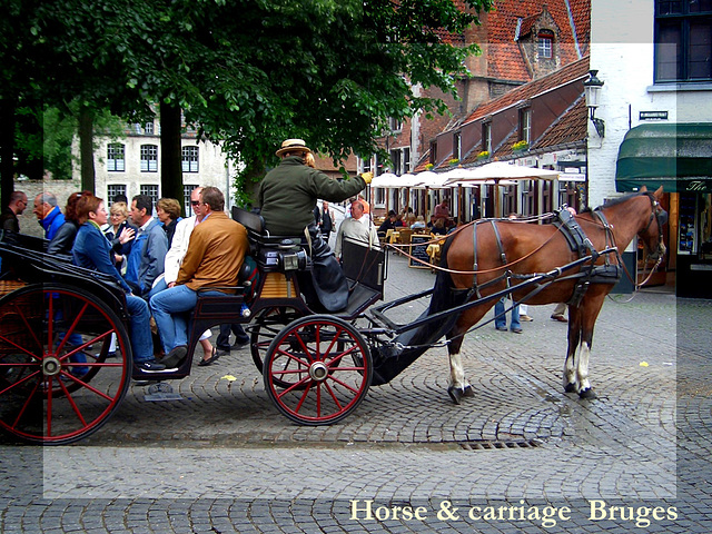 Horse tour with Bruges caption