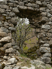 20240503 -05 Lavogne Blandas - Ruines Malpertus - Puech Sigal (38)