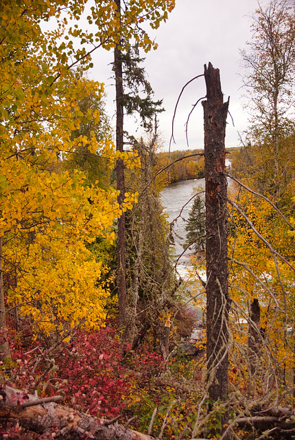 a glimpse of Rapid River