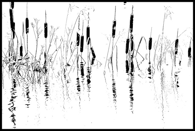 Winterwasser Winterwasser