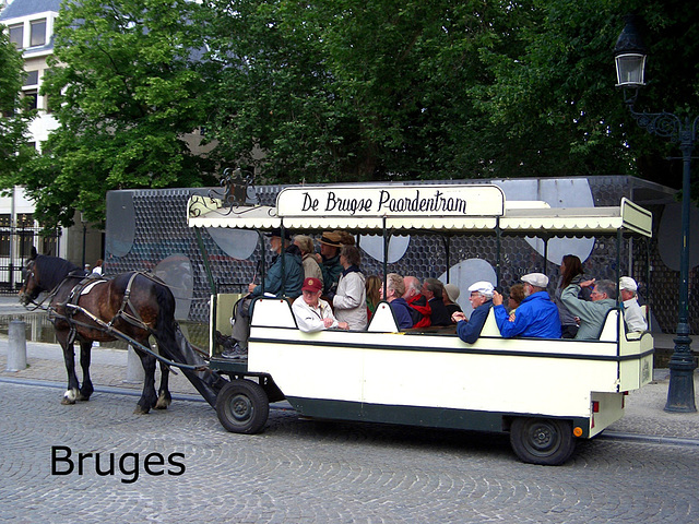 Bruges horse bus with caption