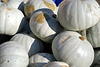 IMG 7028-001-Some Slindon Pumpkins