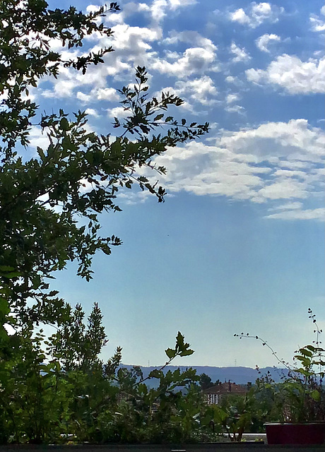 Ciel floconneux du matin