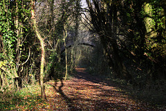 Old trackbed