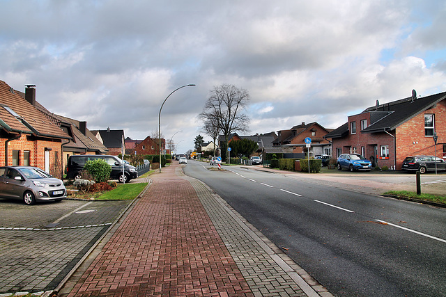 Marler Straße (Haltern-Bossendorf) / 26.12.2023