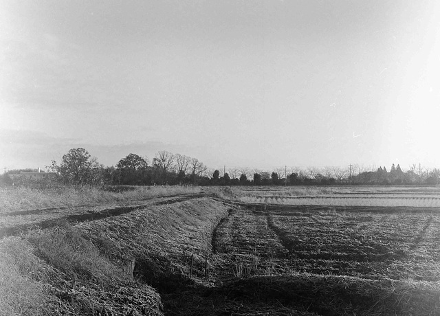 Fields in December Fields in December