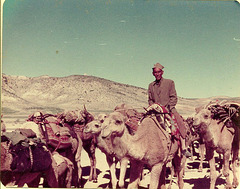 Qashqai nomads of Fars, Iran, 1977