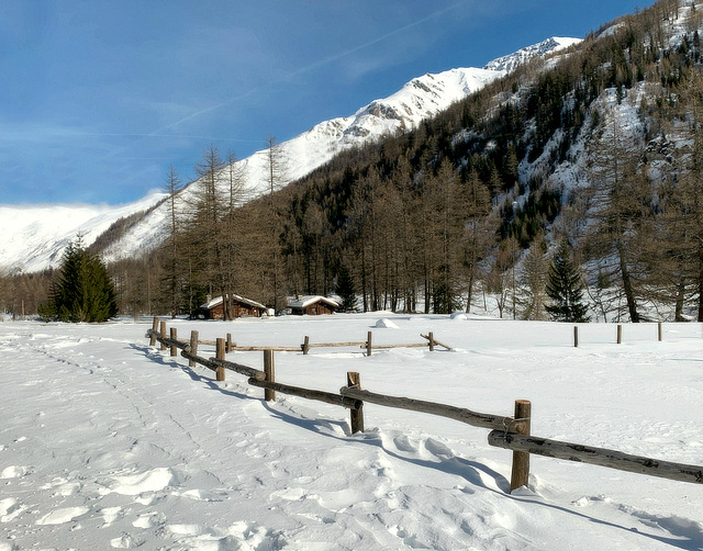 Val Ferret fence