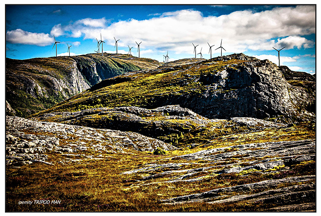 Windräder in Norwegen